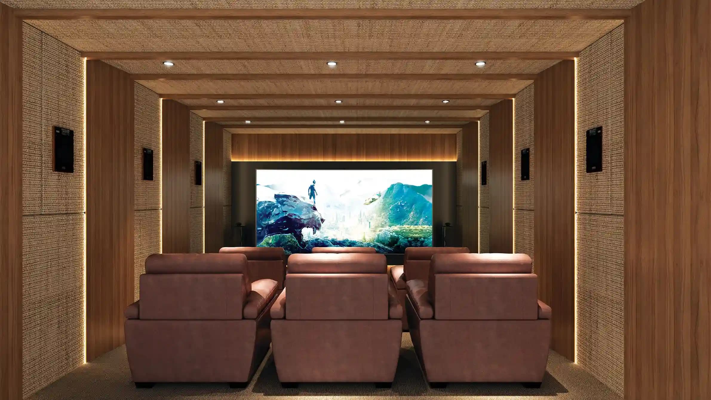 Home theatre at Indian Earth